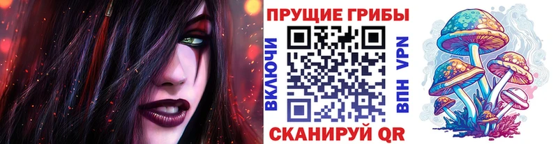 Псилоцибиновые грибы мицелий цены Королёв